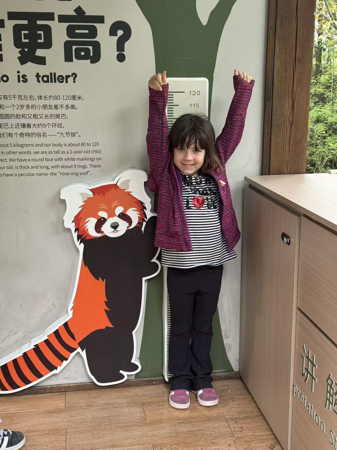 A child seeing pandas during a family-friendly China experience