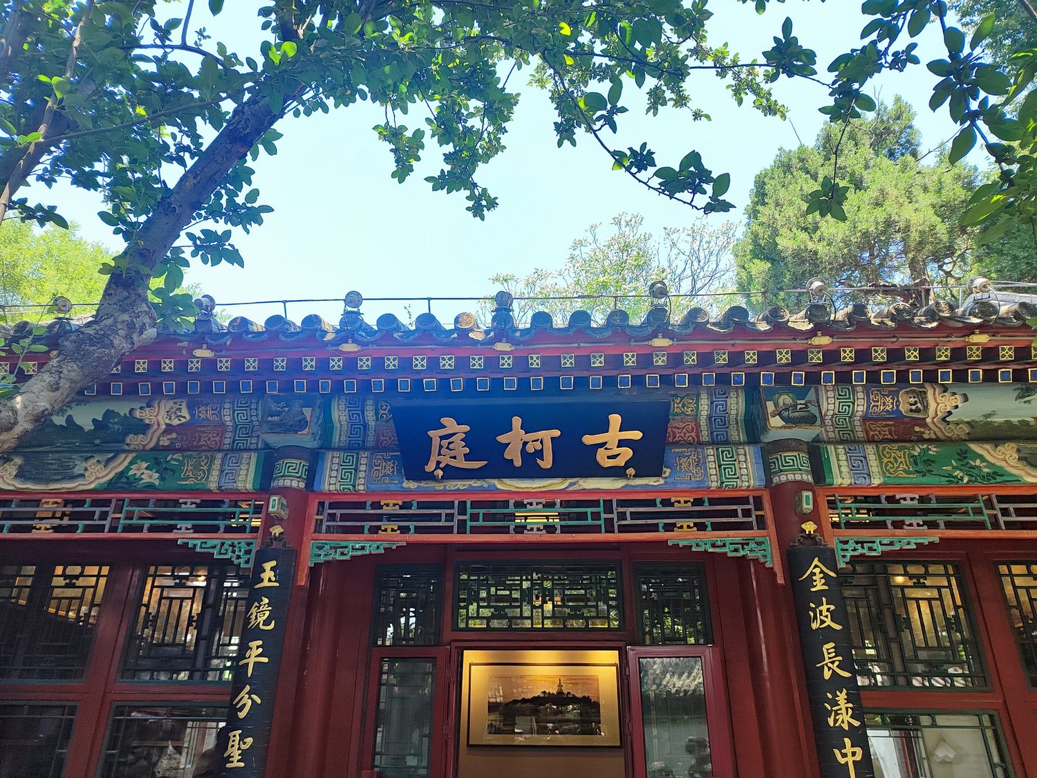 Mature tree and traditional courtyard architecture in Beijing’s historic centre